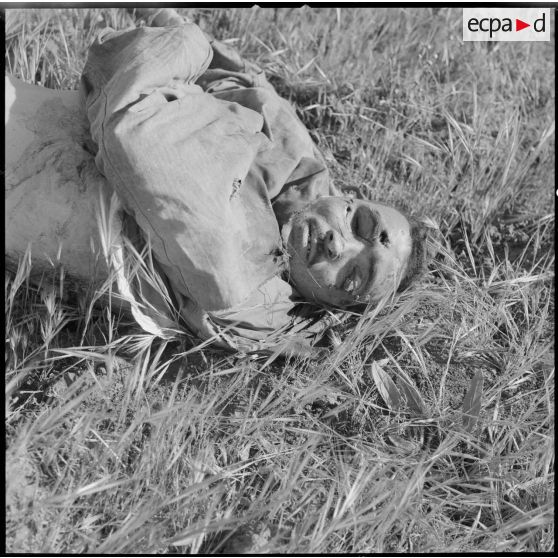 [Cadavre d'un combattant du FLN tué lors d'une opération près de Géryville.]