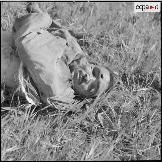[Cadavre d'un combattant du FLN tué lors d'une opération près de Géryville.]