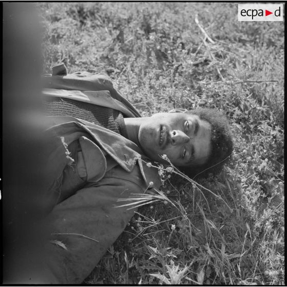 [Cadavre d'un combattant du FLN tué lors d'une opération près de Géryville.]