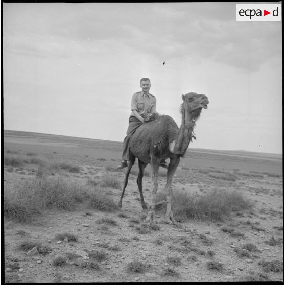 [Portrait du collègue photographe d'Arthur Smet à dos de dromadaire dans la région de Saïda.]
