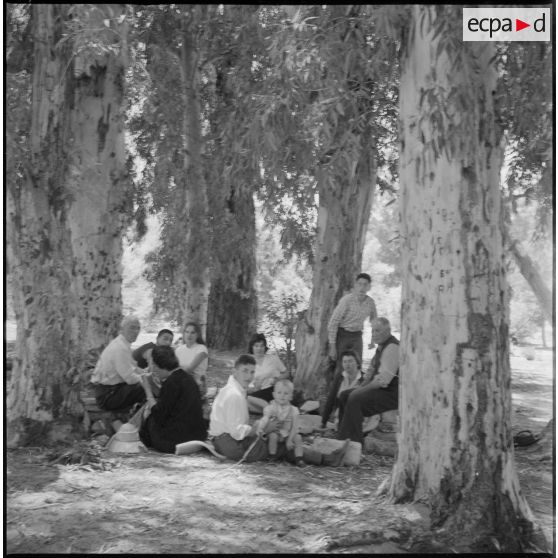 [Famille pique-niquant à l'ombre des arbres de la palmeraie de Tiout.]