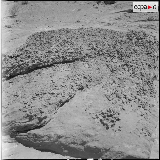 [Rocher dans la palmeraie de Tiout.]