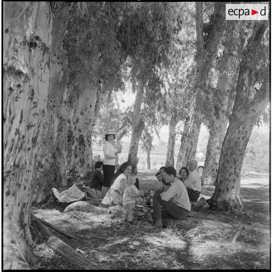 [Famille pique-niquant à l'ombre des arbres de la palmeraie de Tiout.]