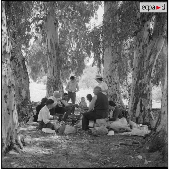 [Famille pique-niquant à l'ombre des arbres de la palmeraie de Tiout.]