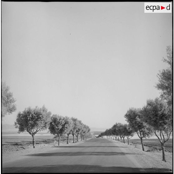 [Une route aux alentours de Tiout dans la région d'Aïn Sefra.]