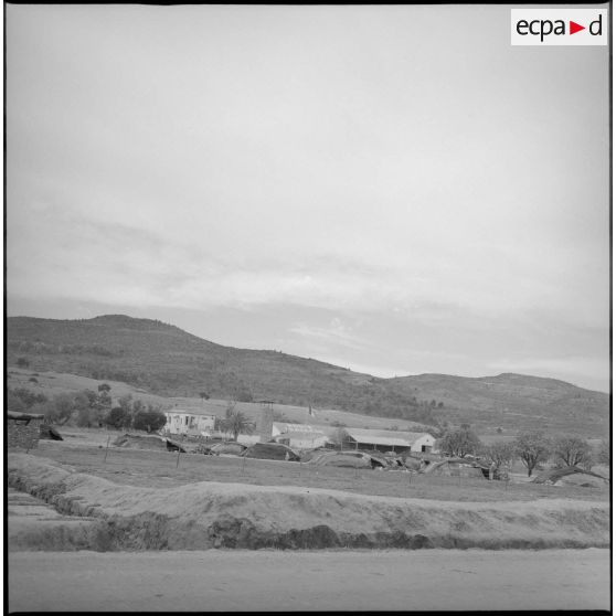 [Un camp de regroupement de populations nomades près de Saïda.]