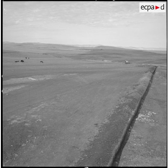 [Paysage montagneux près du poste de la 2e compagnie de police vers Saïda.]