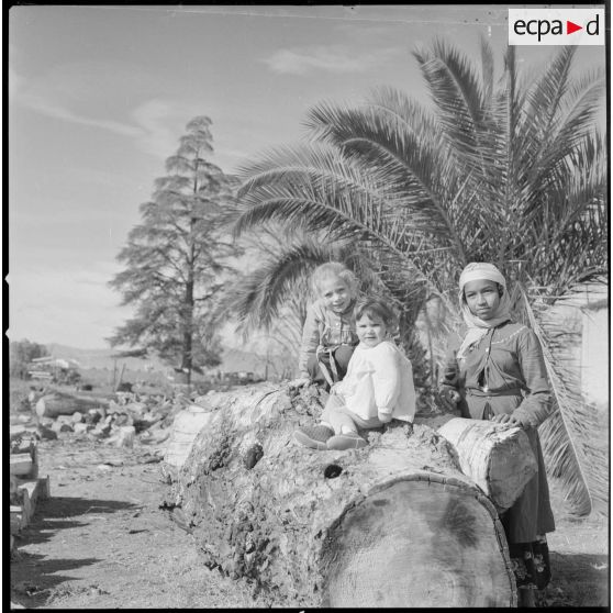 [Enfants posant sur un tronc d'arbre près de Nazareg.]
