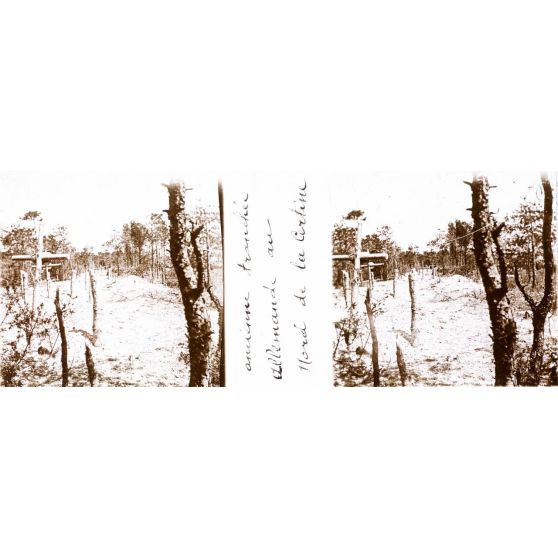 Ancienne tranchée allemande au Nord de la Certine. [légende d'origine]