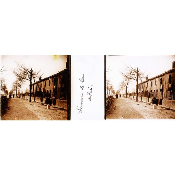 Femme de la citée. [légende d'origine]