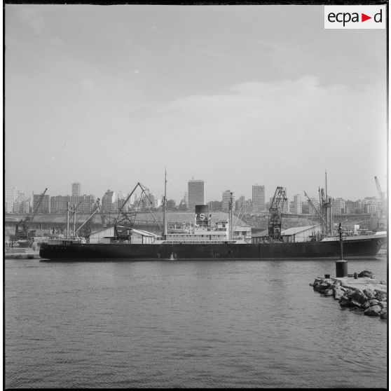 [Le cargo Louis-Charles Schiaffino stationnant dans le port d'Oran.]