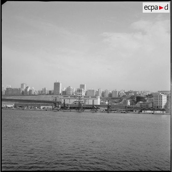 [La ville et les grues portuaires des docks d'Oran.]