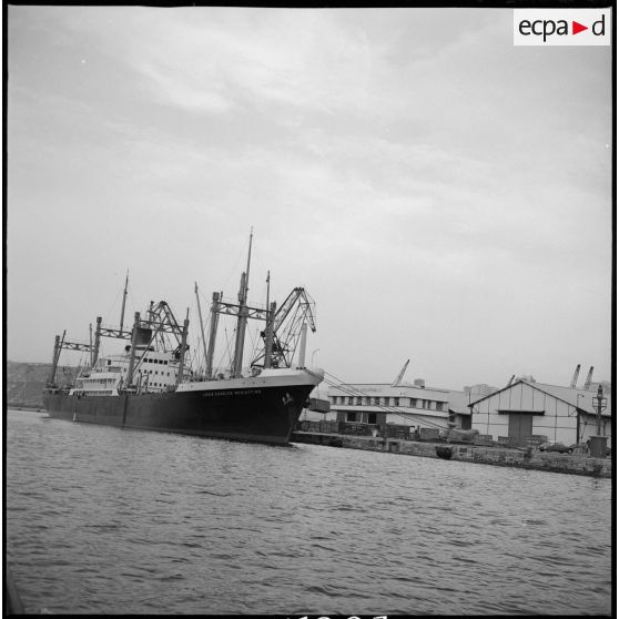 [Le cargo Louis-Charles Schiaffino stationnant dans le port d'Oran.]