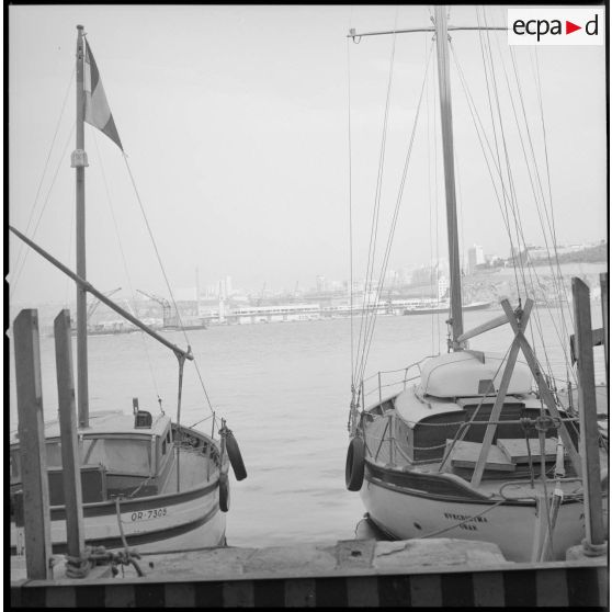 [Des bateaux de plaisance dans le port d'Oran.]