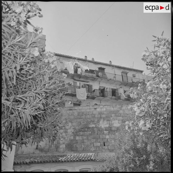 [Les balcons d'un immeuble d'Oran.]