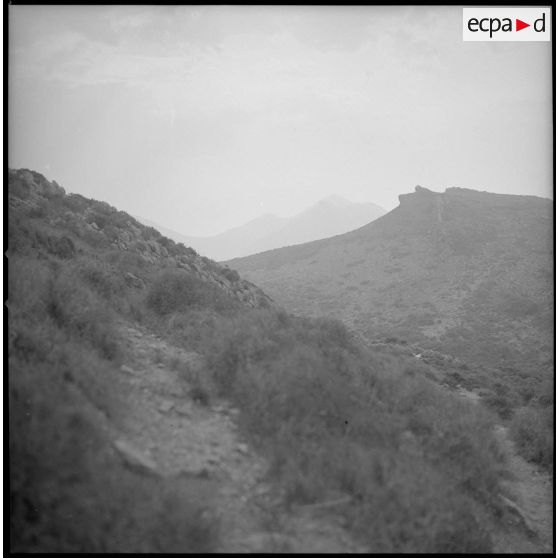 [Un paysage montagneux de la région d'Oran.]
