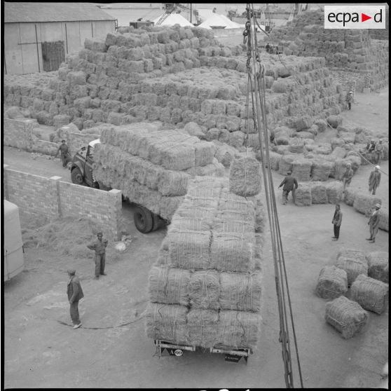 [Stockage de ballots d'alfa dans le port d'Arzew.]