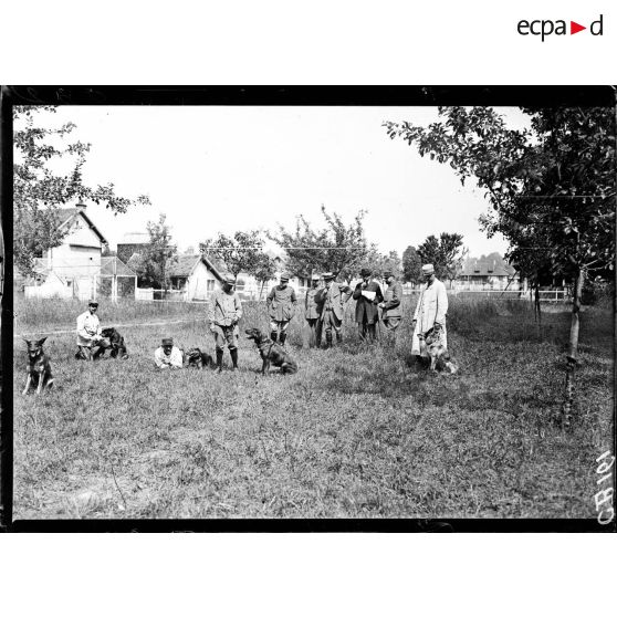 Vulaines-sur-Seine (Seine-et-Marne). Chenil militaire du capitaine Mallerich. [légende d'origine]