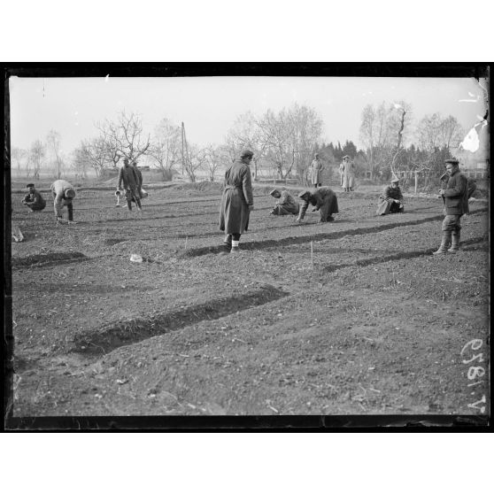 Nîmes (Gard). Dépôt de prisonniers bulgares, prisonniers employés aux travaux agricoles. [légende d'origine]