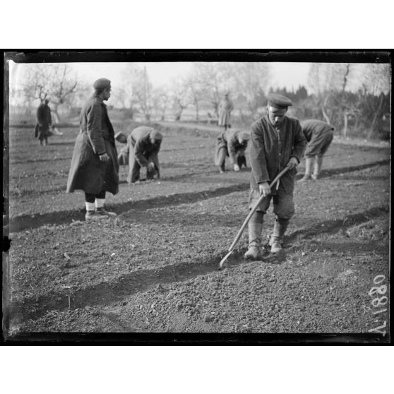 Nîmes (Gard). Dépôt de prisonniers bulgares, prisonniers employés aux travaux agricoles. [légende d'origine]