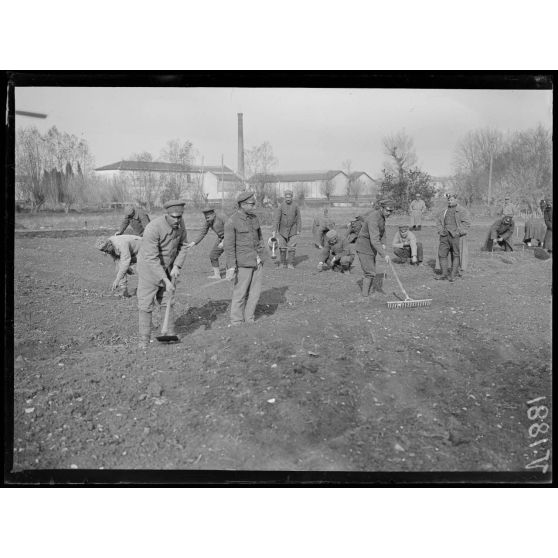 Nîmes (Gard). Dépôt de prisonniers bulgares, prisonniers employés aux travaux agricoles. [légende d'origine]