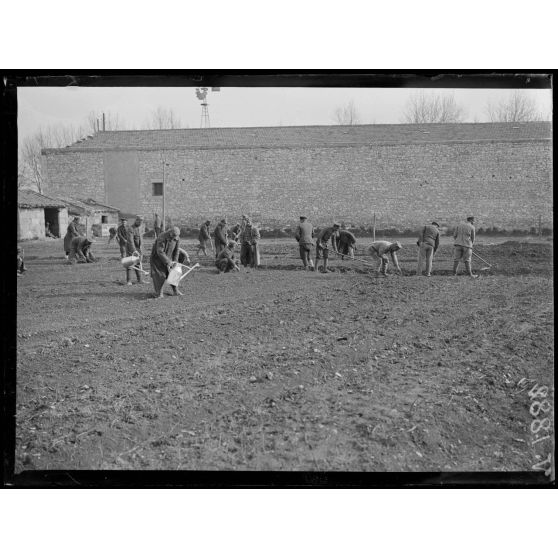 Nîmes (Gard). Dépôt de prisonniers bulgares, prisonniers employés aux travaux agricoles. [légende d'origine]