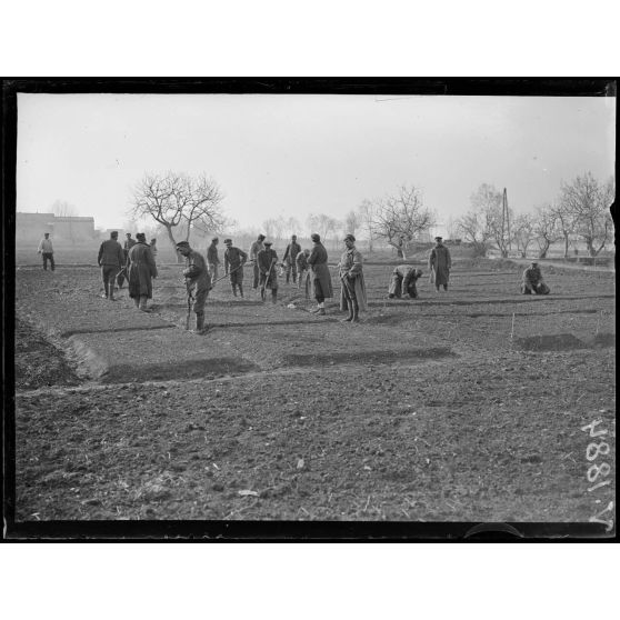 Nîmes (Gard). Nîmes (Gard). Dépôt de prisonniers bulgares, prisonniers employés aux travaux agricoles. [légende d'origine]