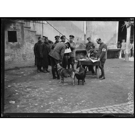 Nîmes (Gard). Prisonniers bulgares à la visite. [légende d'origine]