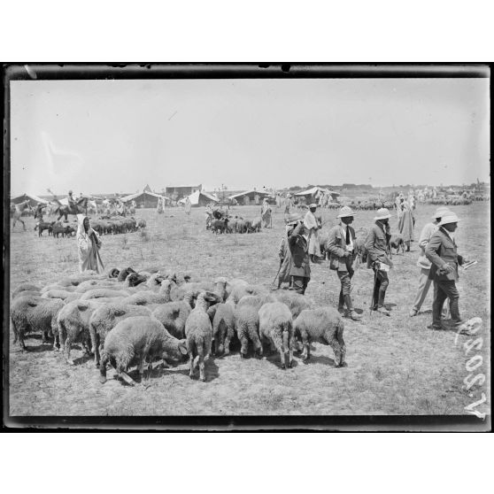 Maroc. Mechra-Bel-Ksiri. Le marché. [légende d'origine]