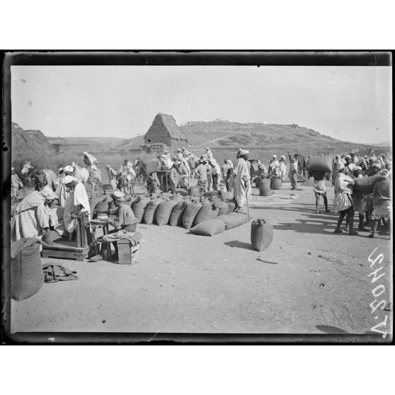 Dar-Bel-Hamri. Centre d'achat de blé, vue d'ensemble. [légende d'origine]