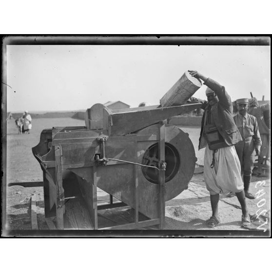 Dar-Bel-Hamri. Battage mécanique du blé. [légende d'origine]