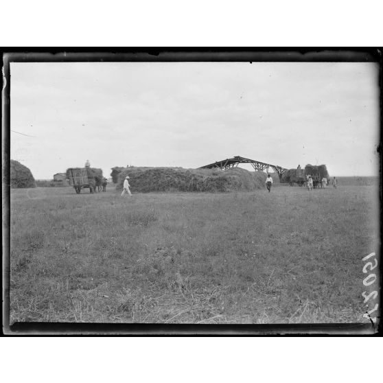 Dar-Bel-Hamri. Centre d'achat de blé. Arrivée des voitures dans une ferme française. [légende d'origine]