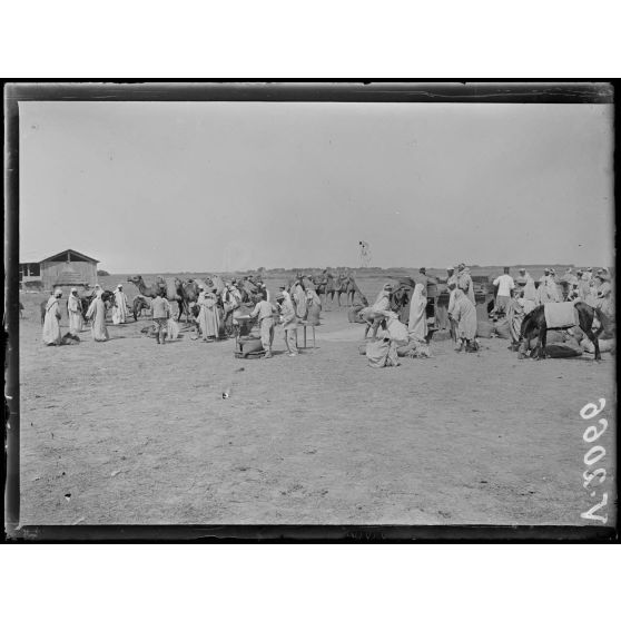 Mechra-Bel-Ksiri. Les indigènes viennent vendre leur blé à l'intendance. [légende d'origine]