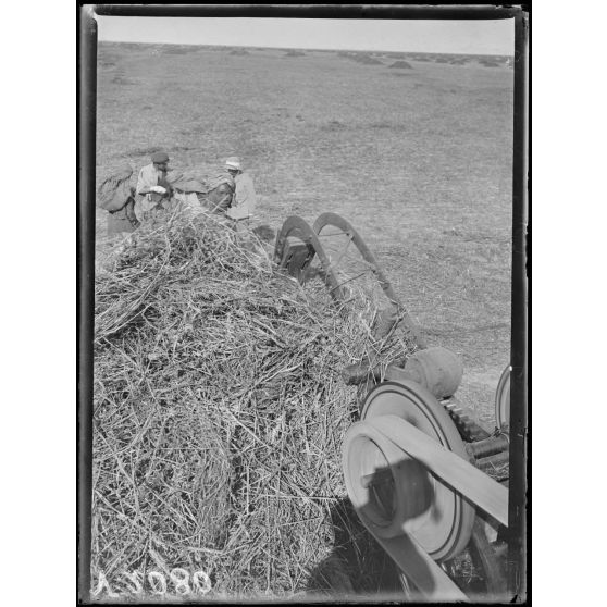 Région des Beni-Hassen. Presse à comprimer le fourrage, premier pilon. [légende d'origine]