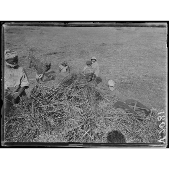 Région des Beni-Hassen. Presse à comprimer le fourrage, premier pilon. [légende d'origine]