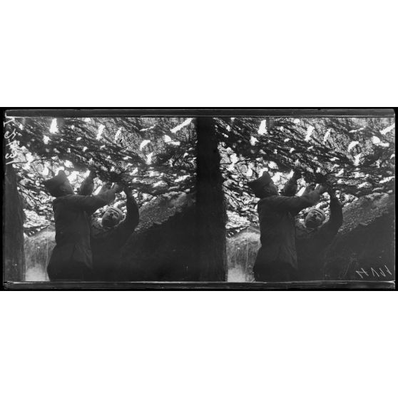 Route de Reims à Jonchery, Marne. Camouflage d'un emplacement de batterie. [légende d'origine]