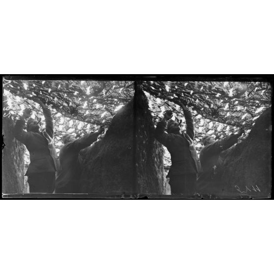 Route de Reims à Jonchery, Marne. Camouflage d'un emplacement de batterie. [légende d'origine]