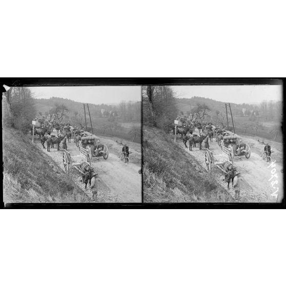 Près de Gare de Fontaine Bonneleau, Oise. [légende d'origine]