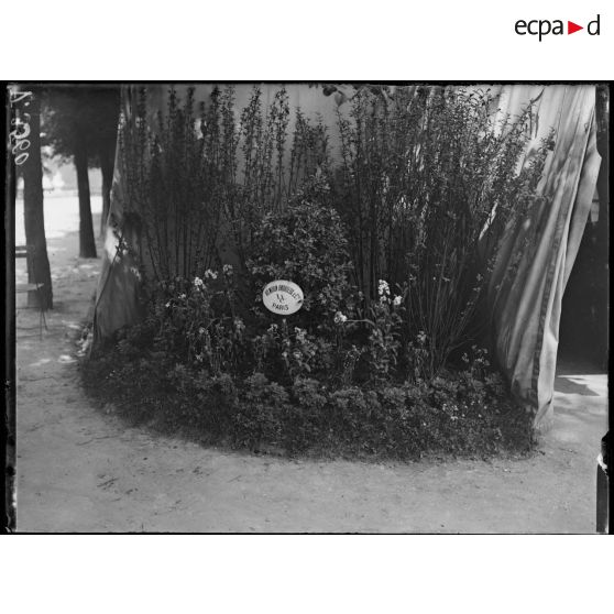Paris, salle du jeu de paume, expositions de matériels agricoles pour mutilés de guerre. [légende d'origine]