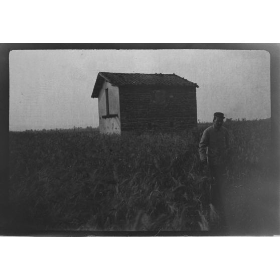 [Militaires progressant dans un champ, s.d.]