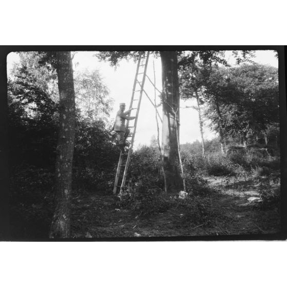 [Soldat sur une échelle dans un bois, s.d.]