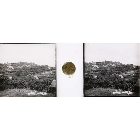 Tananarive, vue du sud-est (manguiers). [légende d'origine]