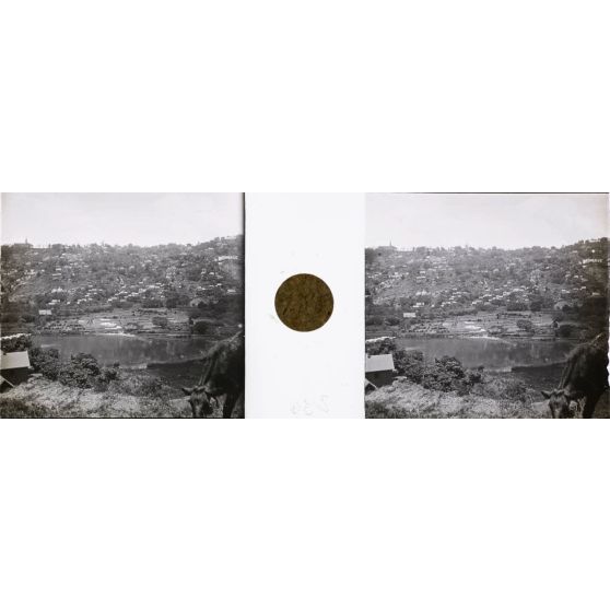 Lac de Tsimbazaza. [légende d'origine]