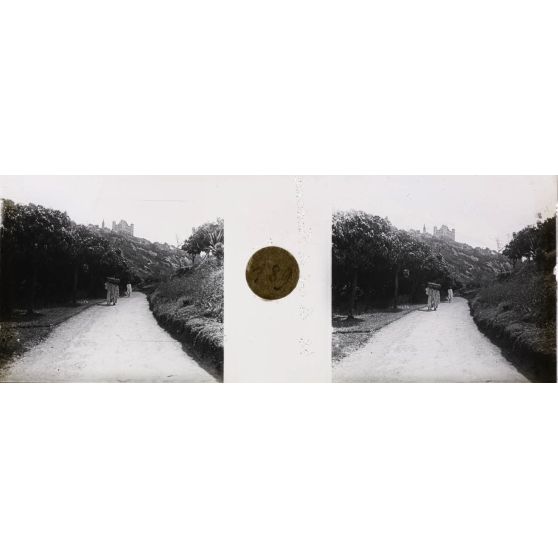 Col de Fiadana, petits manguiers. [légende d'origine]