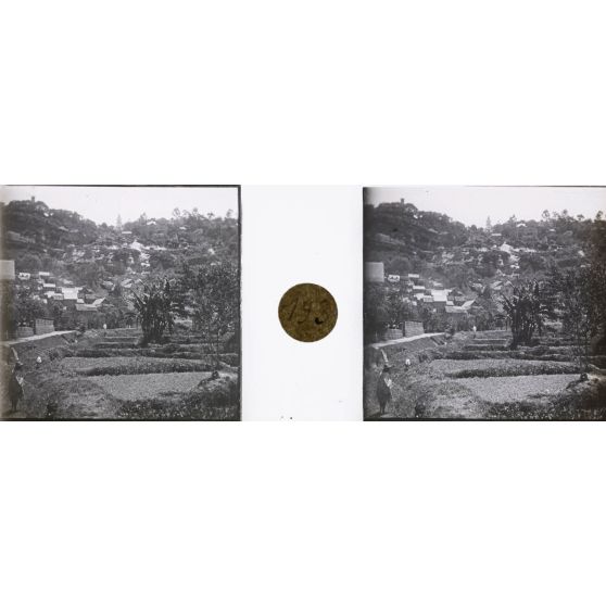 Tananarive vue de Mahamasina (bananiers). [légende d'origine]