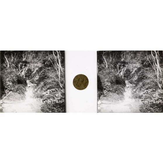 Sentier montant de Mahamasina à la cathédrale. [légende d'origine]