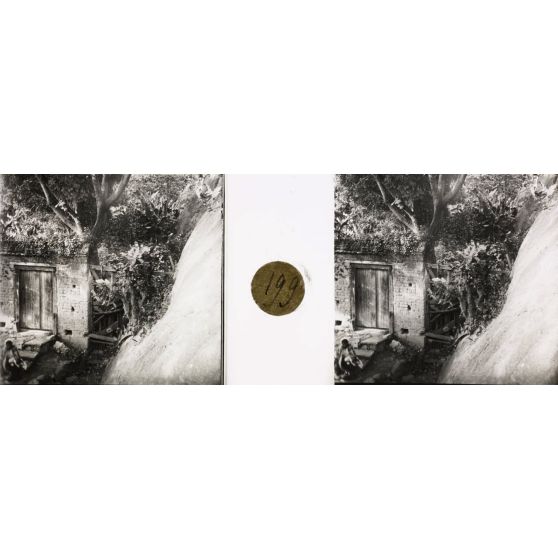 Sentier montant de Mahamasina à la cathédrale (figuiers de Barbarie). [légende d'origine]