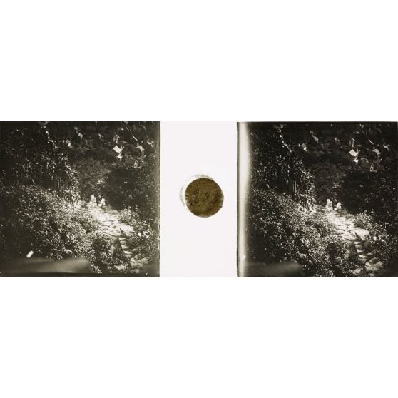 Sentier de la Reine. [légende d'origine]