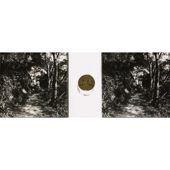 Sentier de la Reine. [légende d'origine]