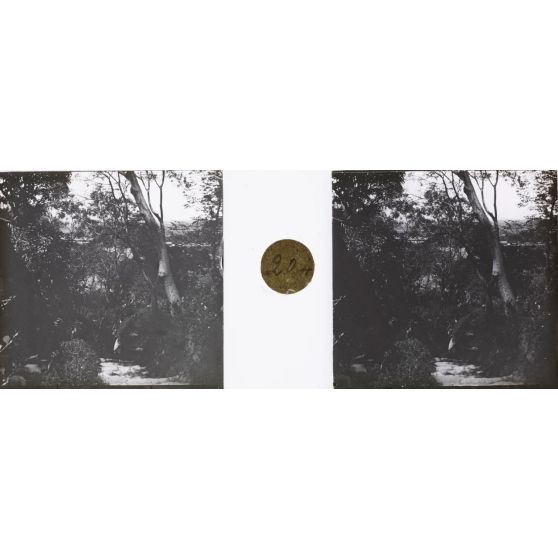 Sentier de la Reine. [légende d'origine]